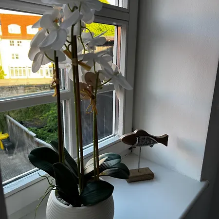 Apartament Markina - - Kiliani I