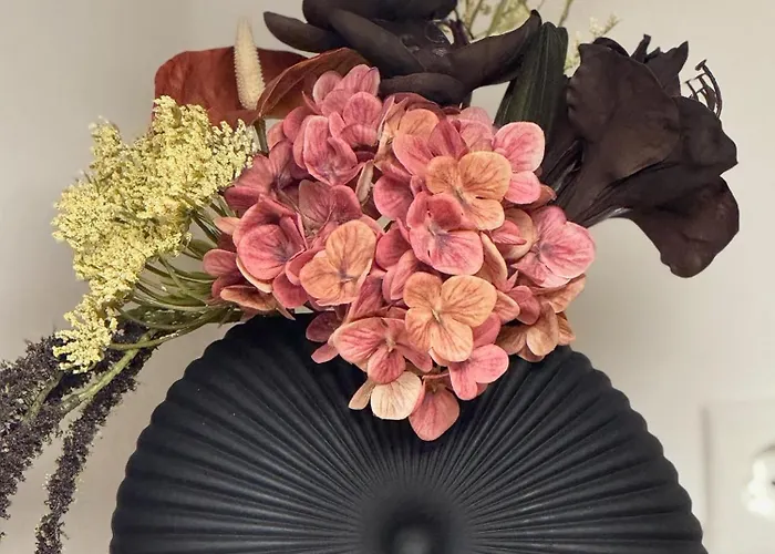 Daire Markina - - Kiliani I *